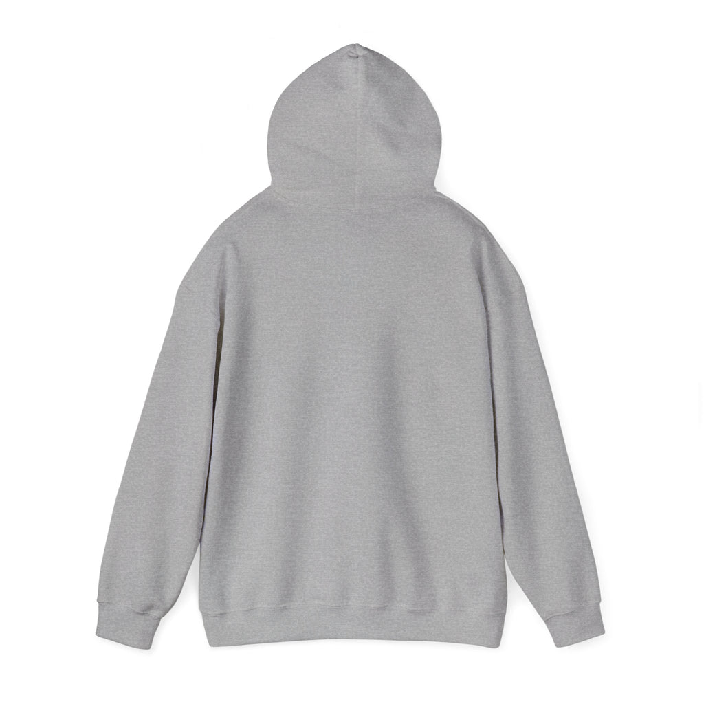 Faith & Freedom July 4th Hoodie | Patriotic, Vintage Americana