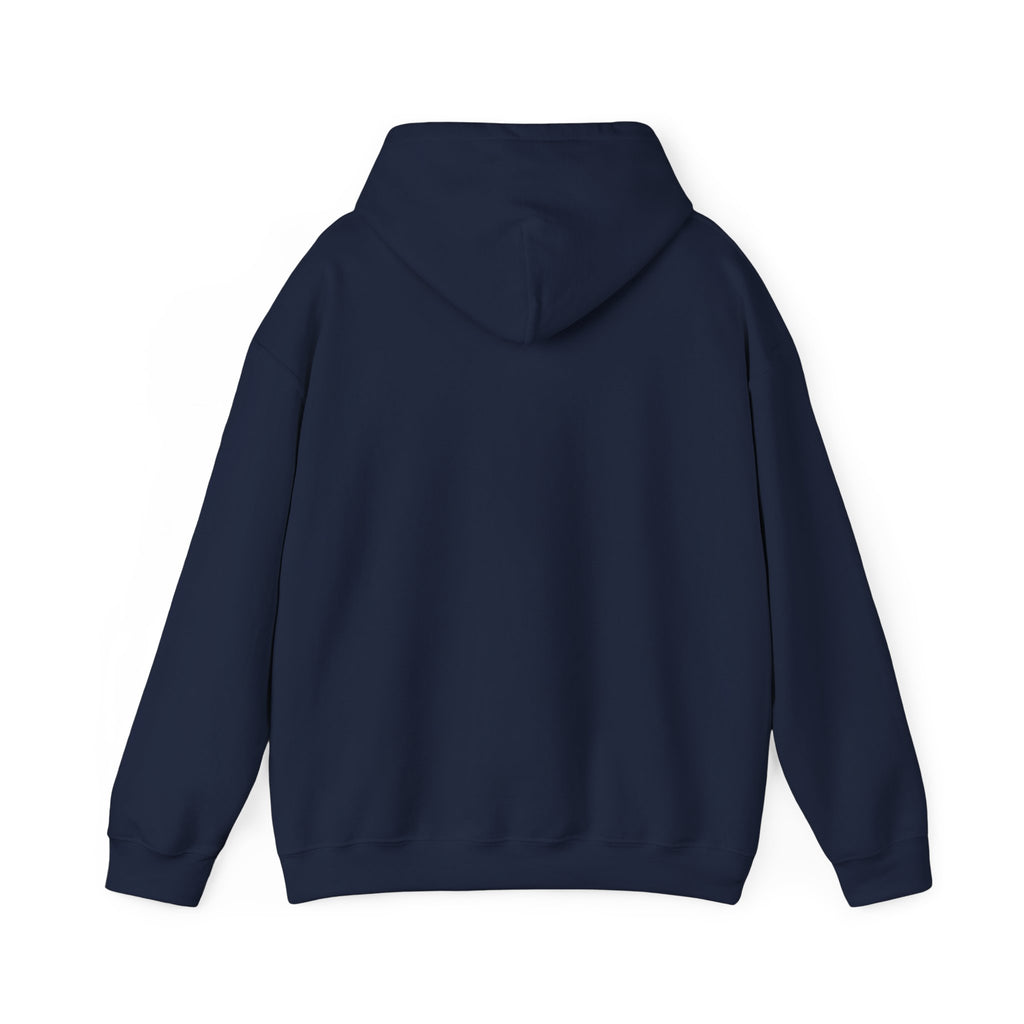 Faith & Freedom Retro Patriotic Hoodie | faith-based July 4th liberty