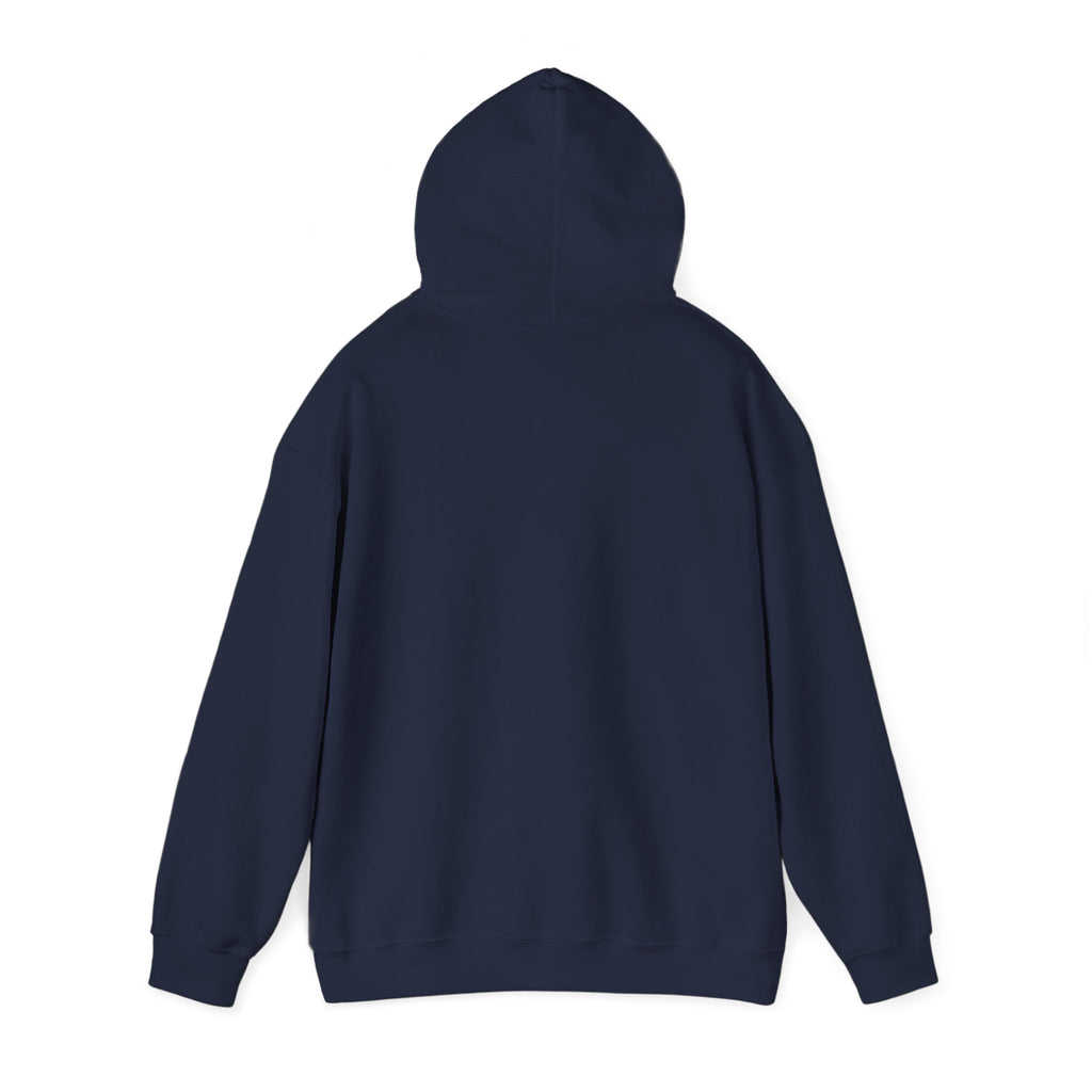 Faith • Family • Freedom Hoodie | Patriotic Vintage Americana, July 4th