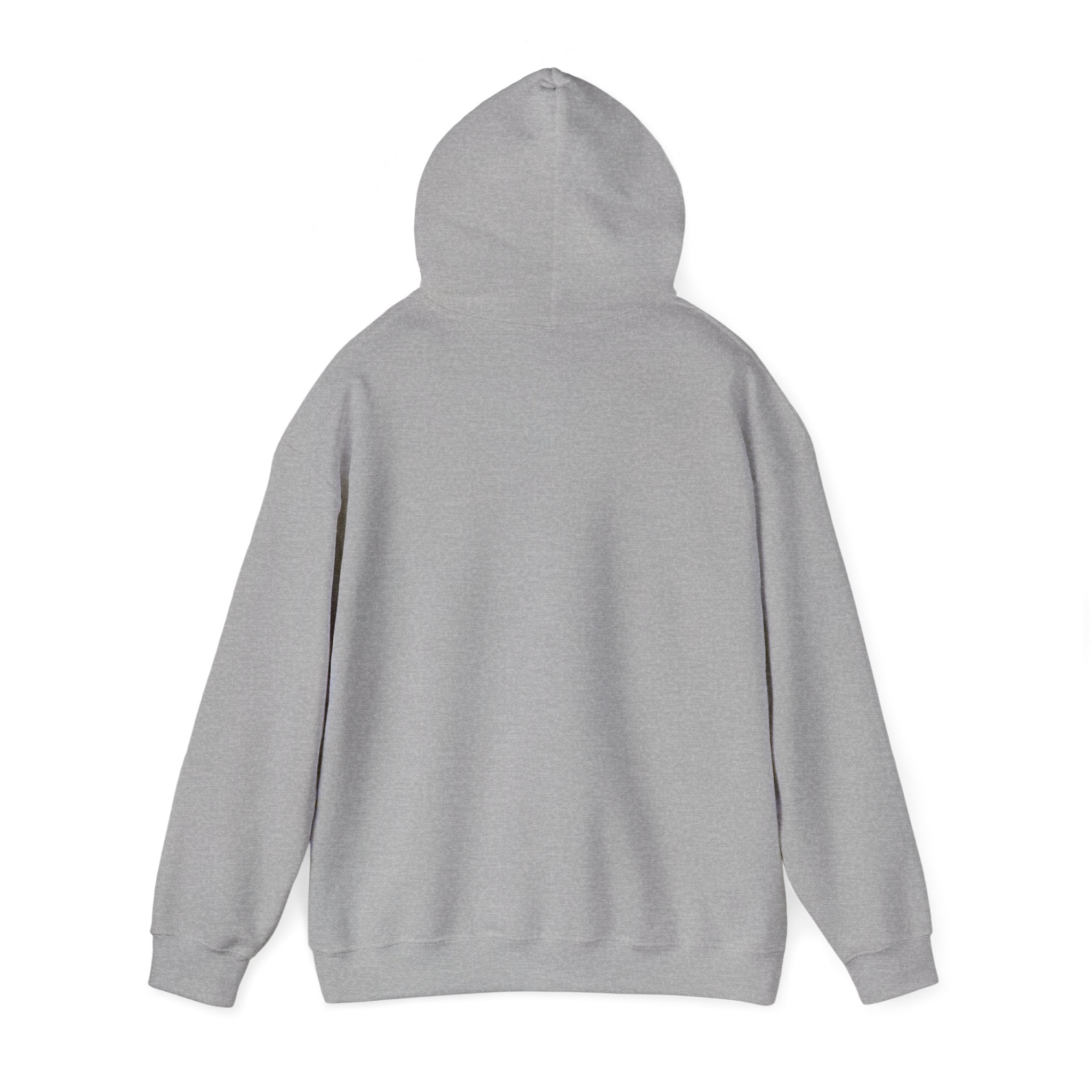 Faith & Freedom Retro Patriotic Hoodie | faith-based July 4th liberty