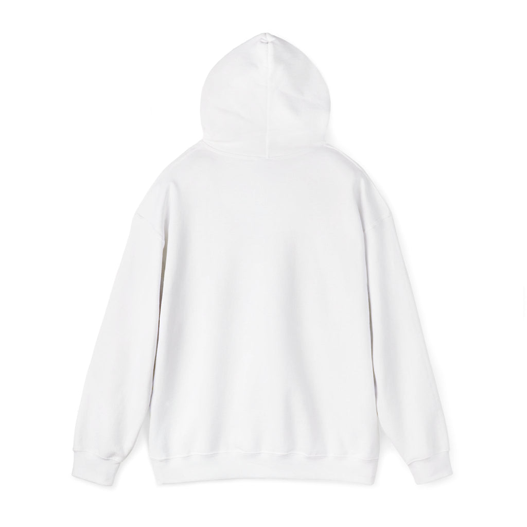 Faith & Freedom Retro Patriotic Hoodie | faith-based July 4th liberty